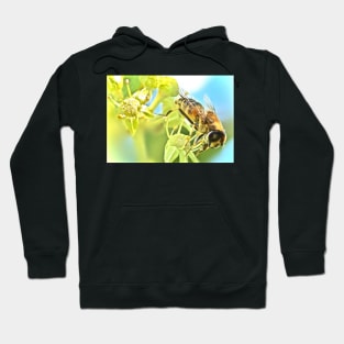 WHEN THE LIGHTS TOO BRIGHT IT ALL GOES BLURRY ! Hoodie